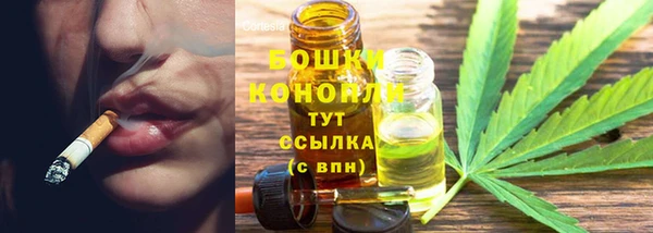 прущие грибы Магадан