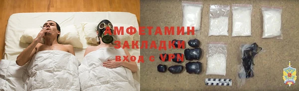 прущие грибы Магадан