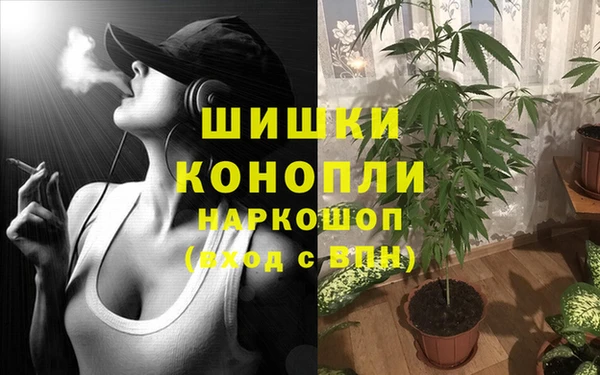 марихуана Архангельск