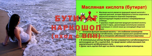 прущие грибы Магадан