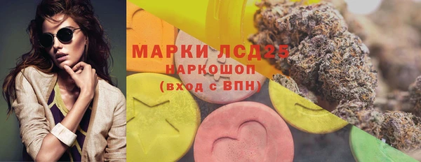прущие грибы Магадан