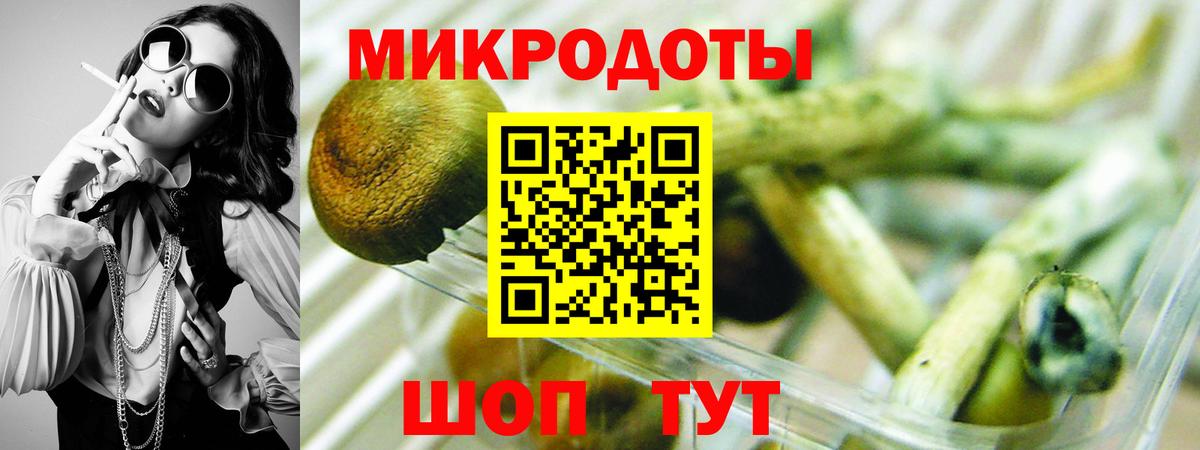 Углич  Псилоцибиновые грибы Cubensis  Псилоцибиновые грибы Cubensis  Вход с VPN 